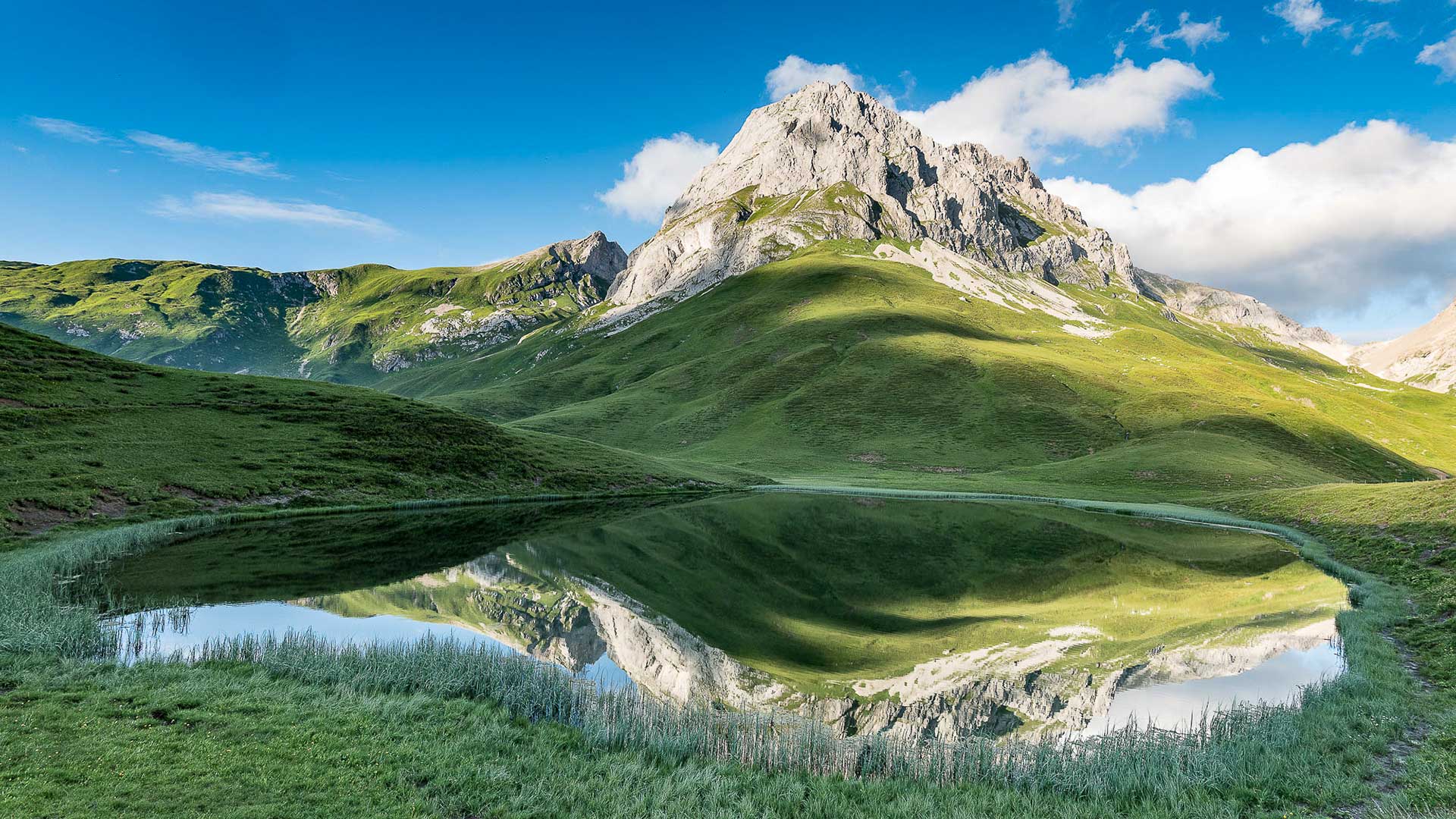 kleine Seen - der Alpsee
