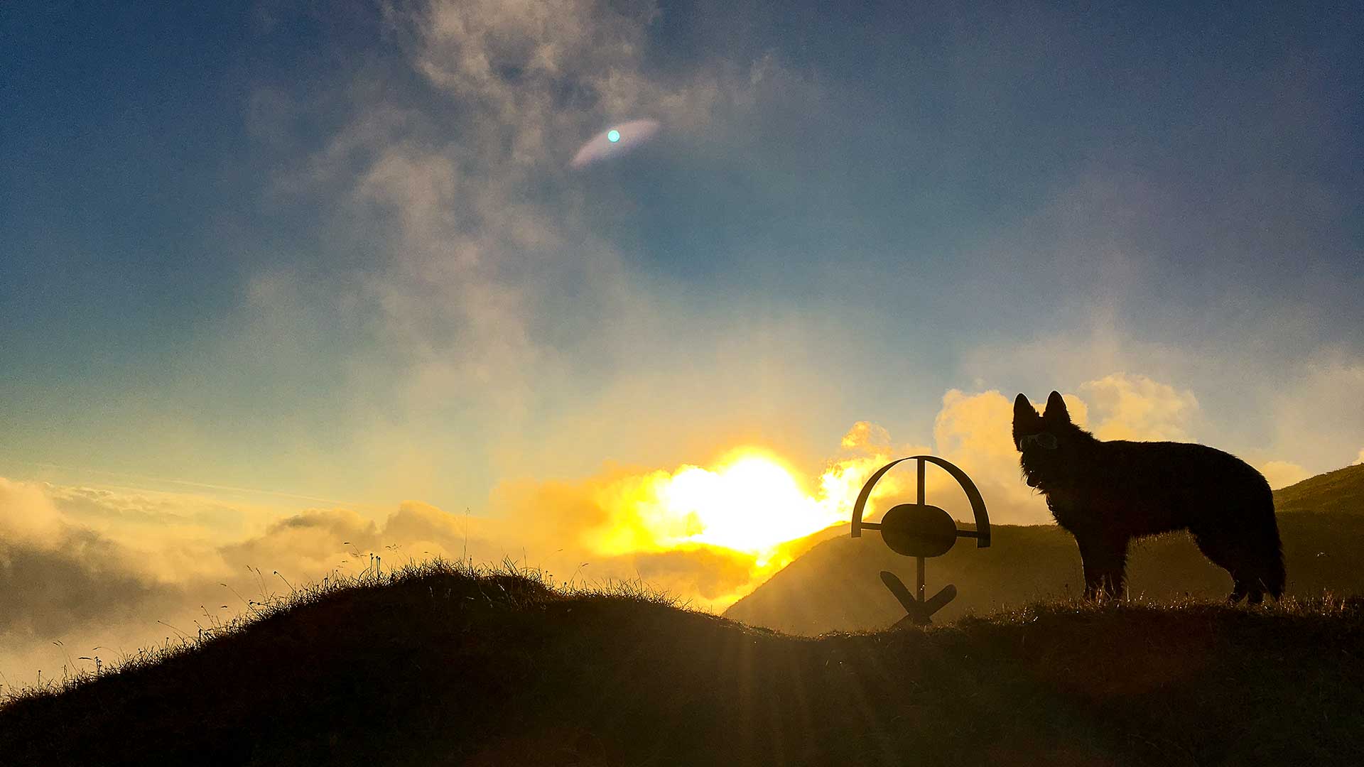 Hund mit Kreuz bei Sonnenuntergang