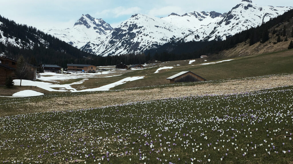 Unterkünfte im Tal - Alphorn Lech